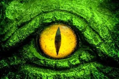 Amazonia poster1