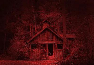 THE MOONSHINER poster1