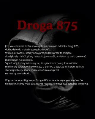 Droga 875 poster1