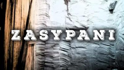 Zasypani poster4