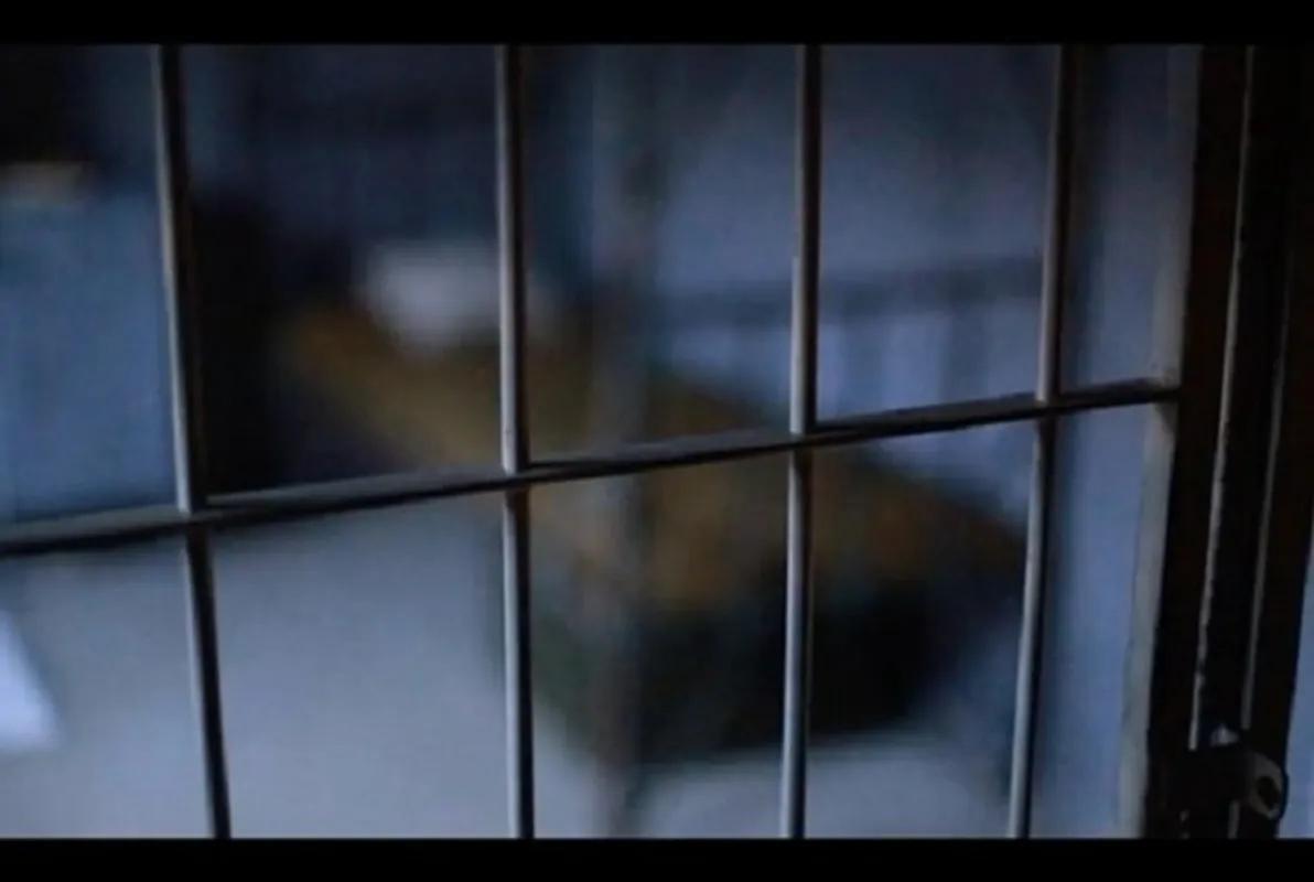 Penitentiary Institution